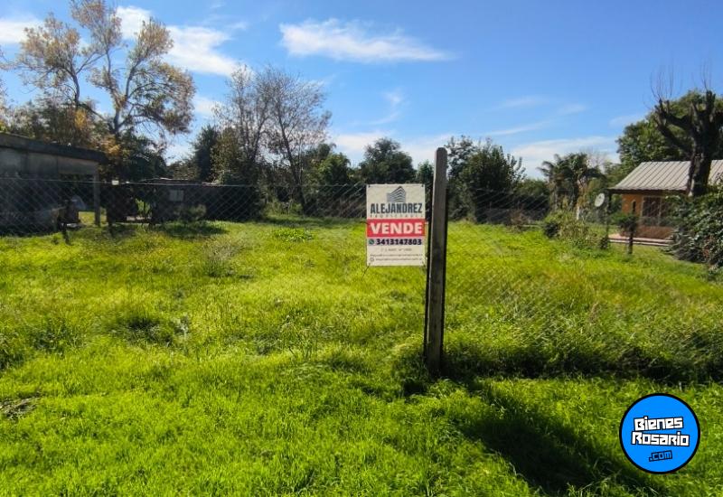 Terrenos - Andino - Venta