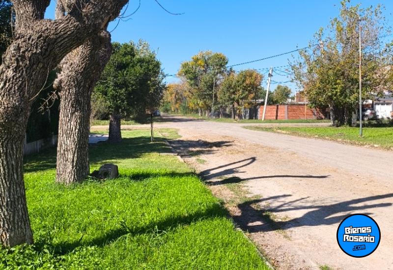 Terrenos - Andino - Venta