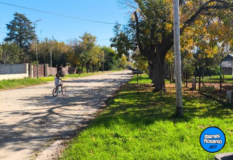 Terrenos - Andino - Venta