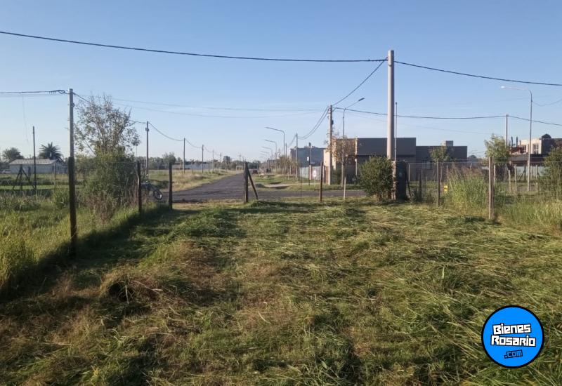 Terrenos - Villa Amelia - Venta