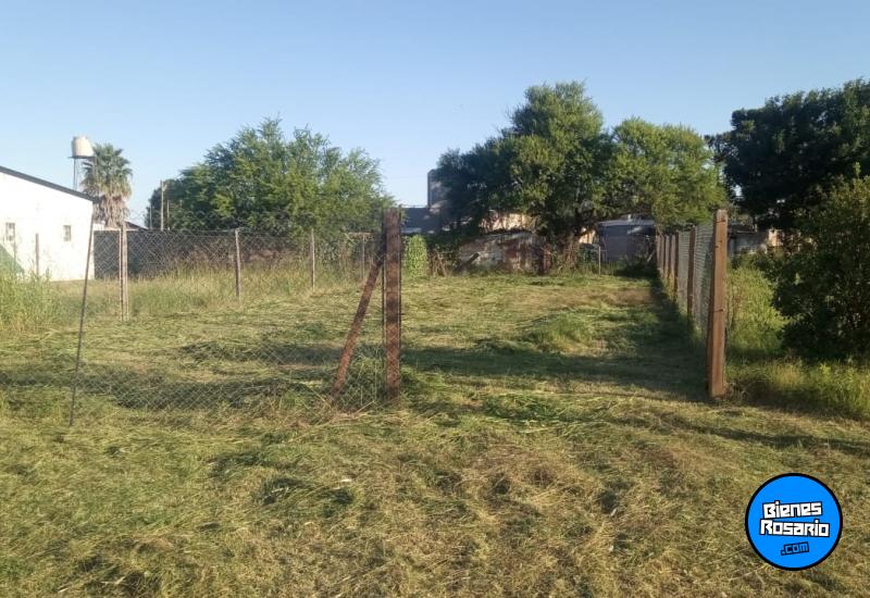 Terrenos - Villa Amelia - Venta