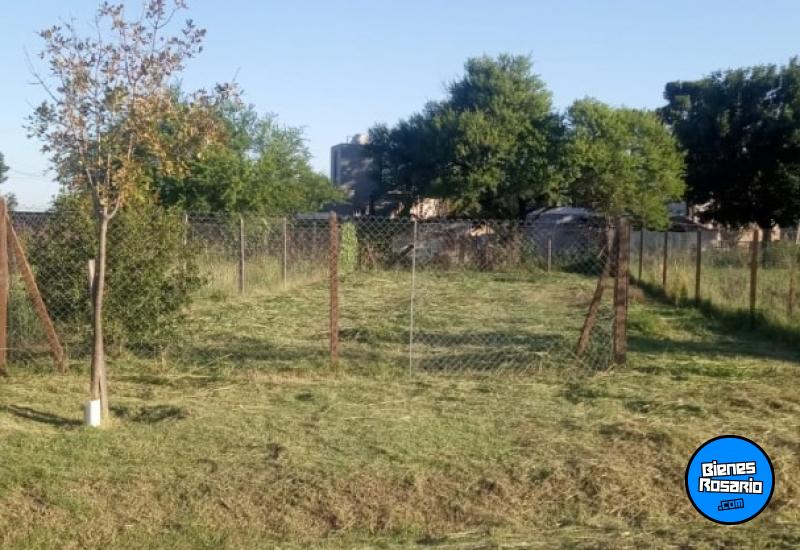 Terrenos - Villa Amelia - Venta