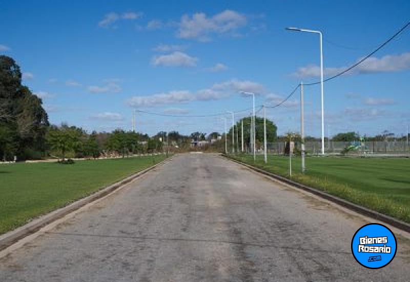 Terrenos - Alvarez - Venta
