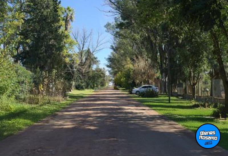 Terrenos - Alvarez - Venta