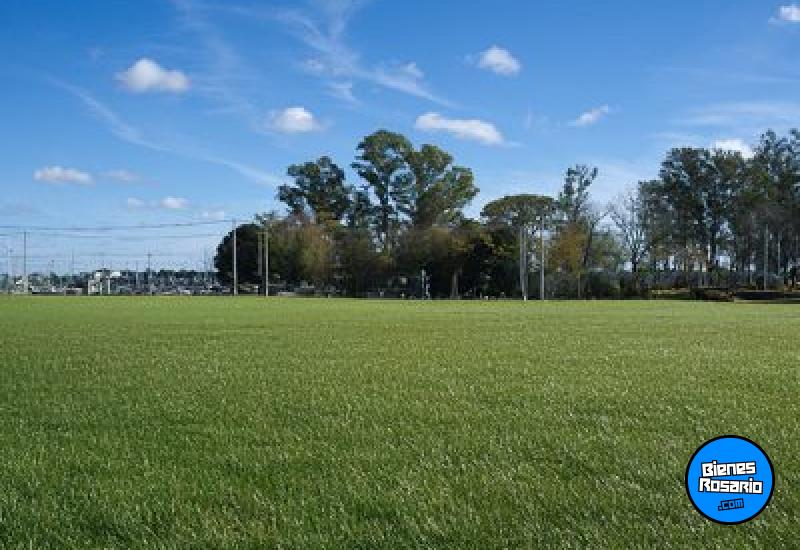 Terrenos - Alvarez - Venta