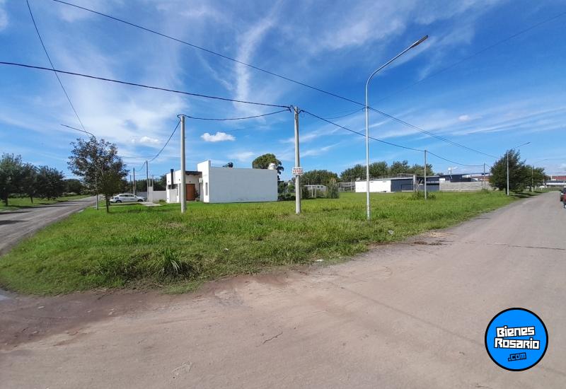 Terrenos - Firmat - Venta