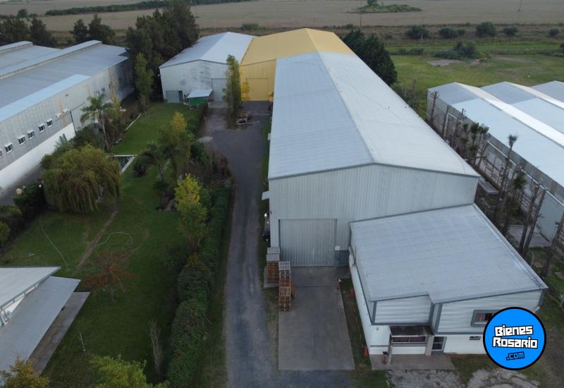 Galpones / Depósitos - Rosario -  Alquiler