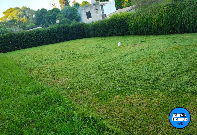 Terrenos - Oliveros - Venta