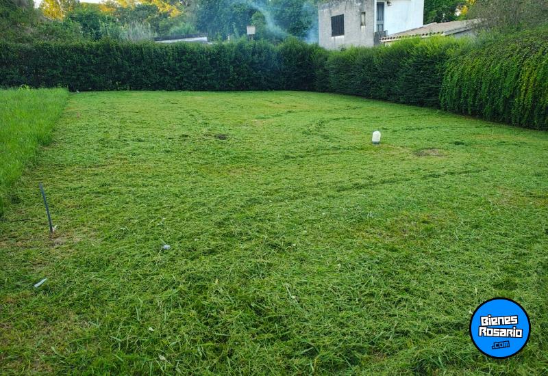 Terrenos - Oliveros - Venta
