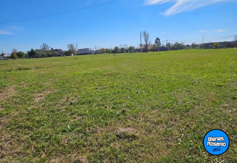 Terrenos - Roldan - Venta