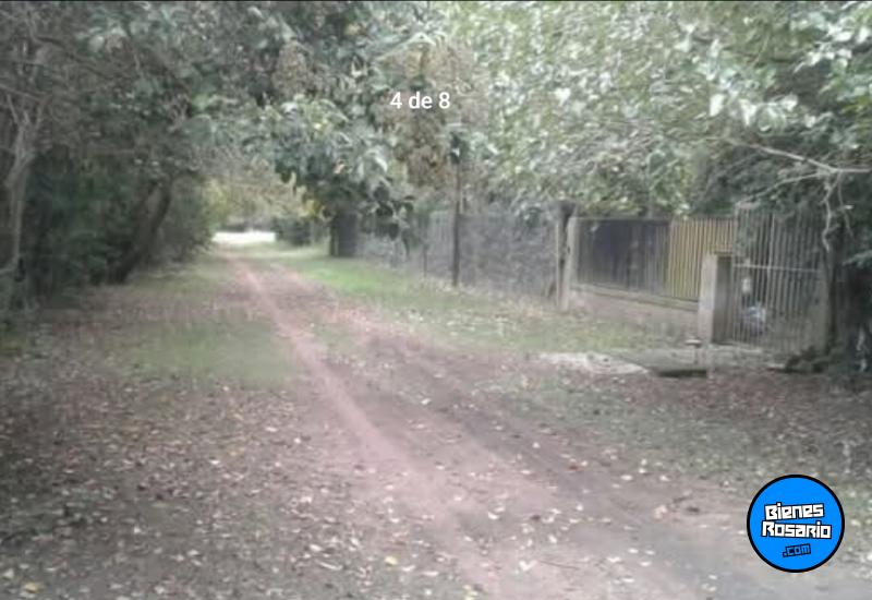Terrenos - Oliveros - Venta