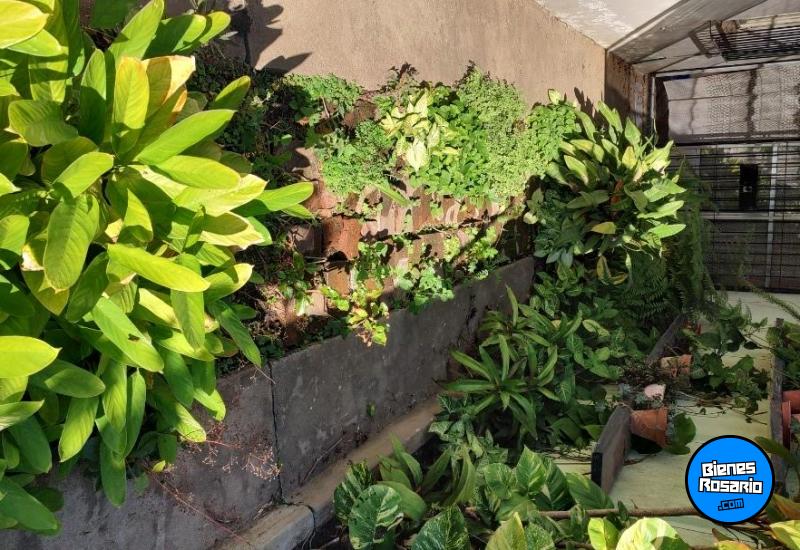 Casas - Casilda - Venta