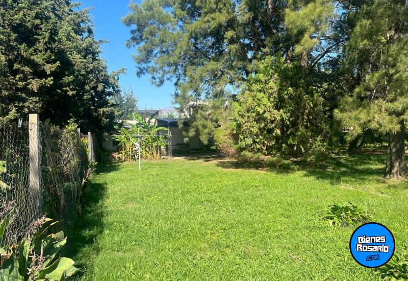 Terrenos - Ibarlucea - Venta