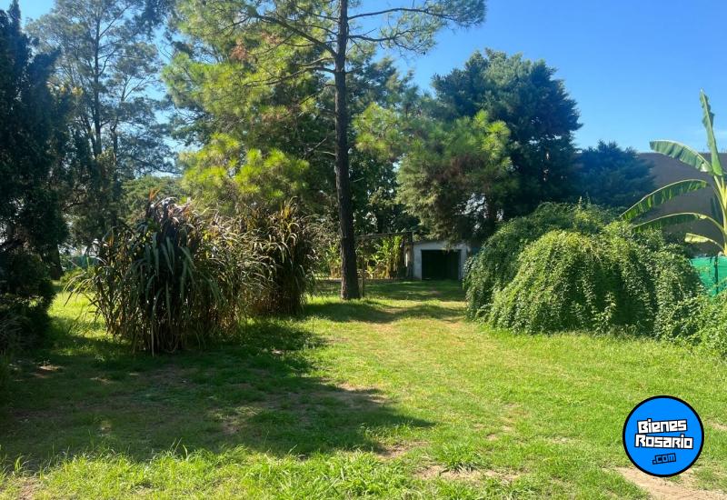 Terrenos - Ibarlucea - Venta