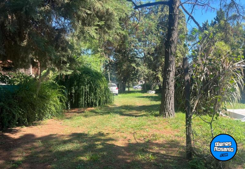 Terrenos - Ibarlucea - Venta