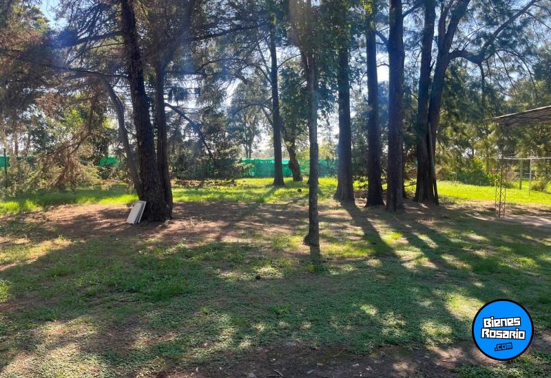 Terrenos - Ibarlucea - Venta