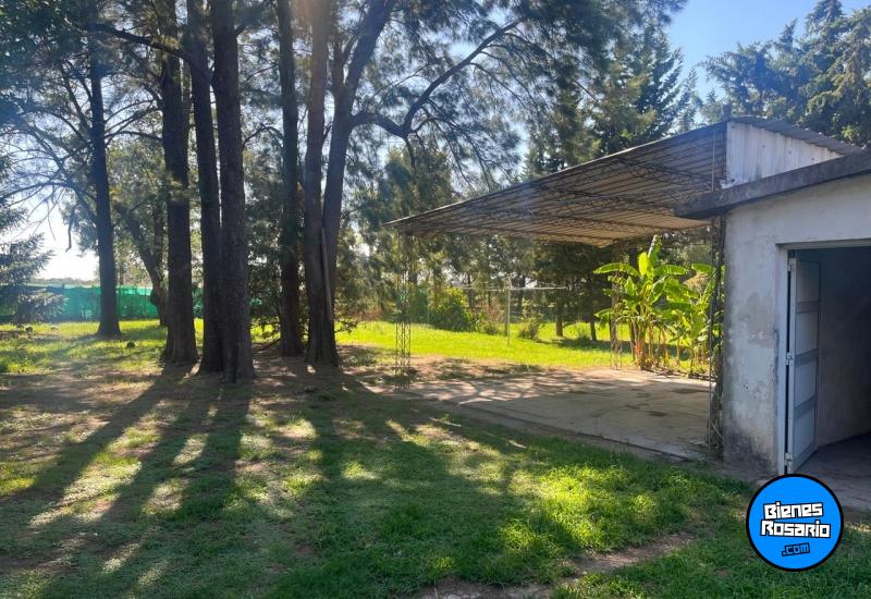 Terrenos - Ibarlucea - Venta