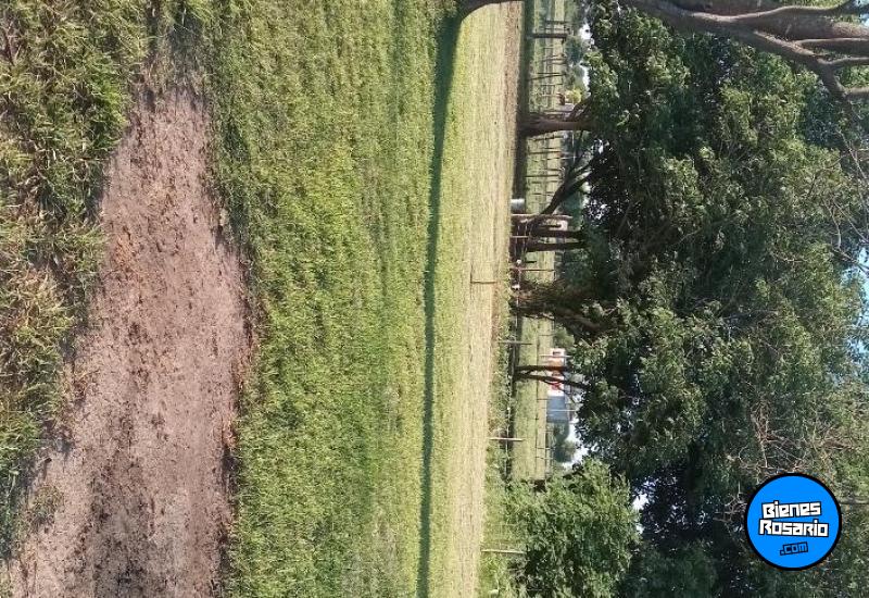 Terrenos - Victoria - Venta