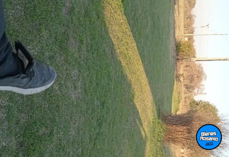 Terrenos - Victoria - Venta