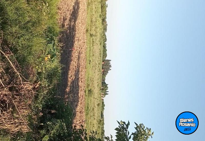 Terrenos - Victoria - Venta