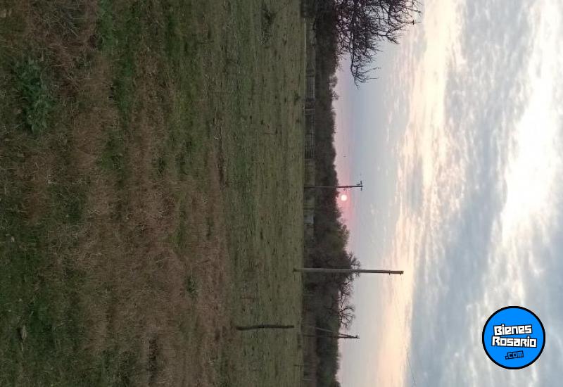 Terrenos - Victoria - Venta