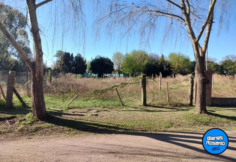 Terrenos - Ibarlucea - Venta