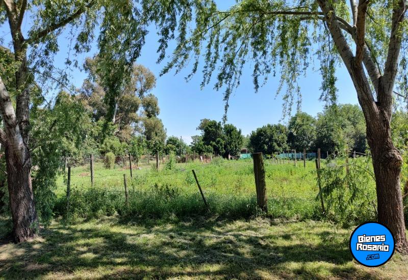 Terrenos - Ibarlucea - Venta