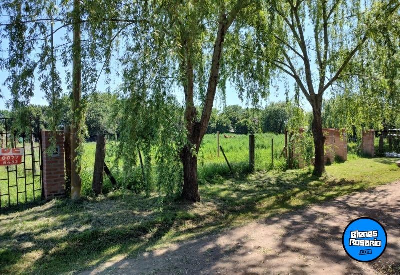 Terrenos - Ibarlucea - Venta