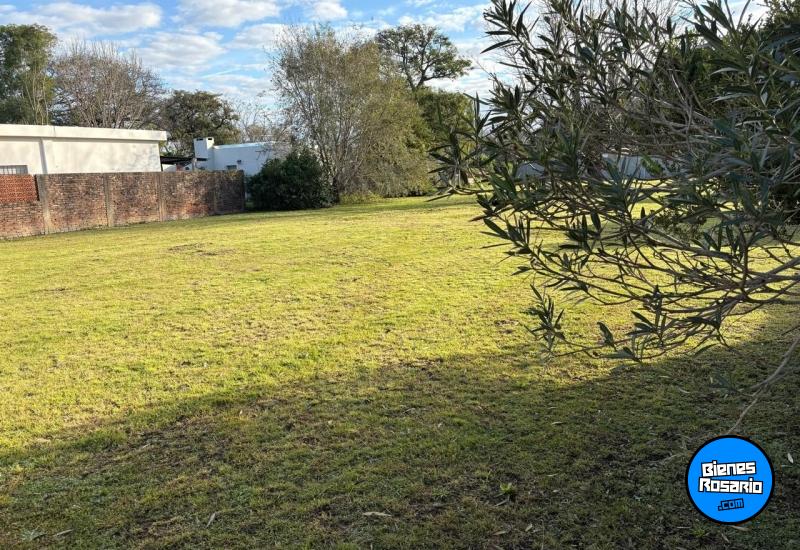 Terrenos - San Jeronimo Sur - Venta