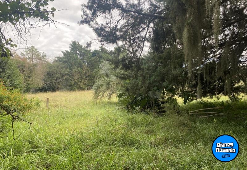 Terrenos - Rosario - Venta