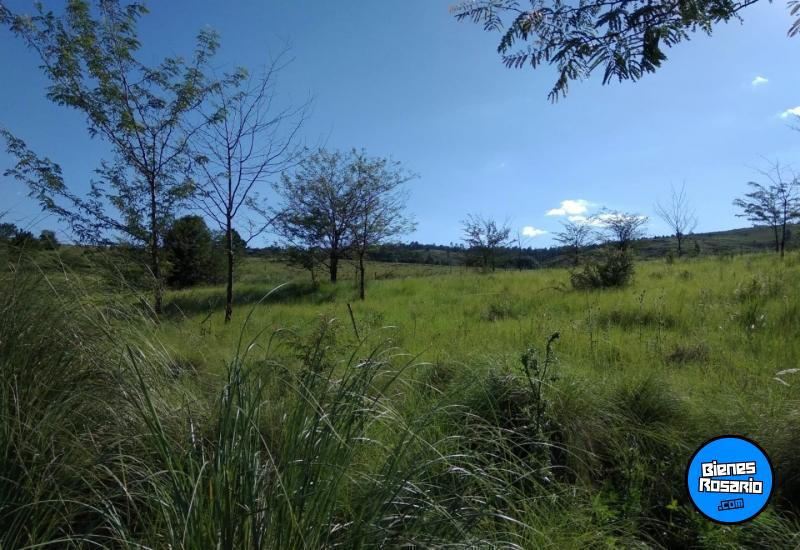 Terrenos - El Durazno - Venta