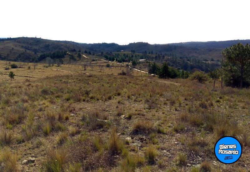 Terrenos - El Durazno - Venta