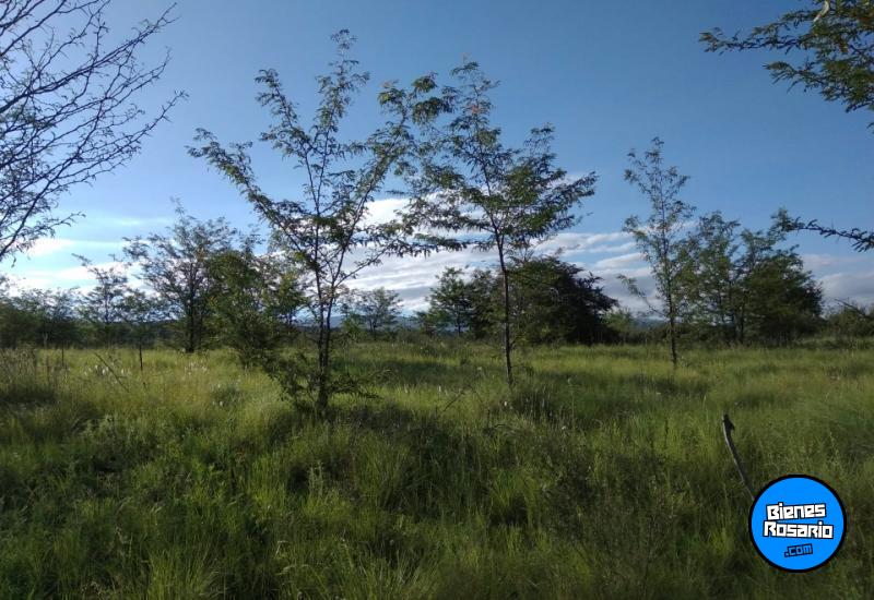 Terrenos - El Durazno - Venta