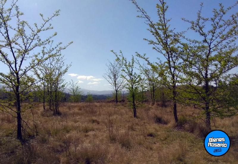 Terrenos - El Durazno - Venta