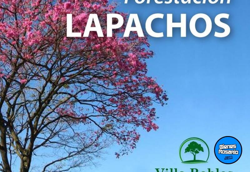 Terrenos - San Lorenzo - Venta