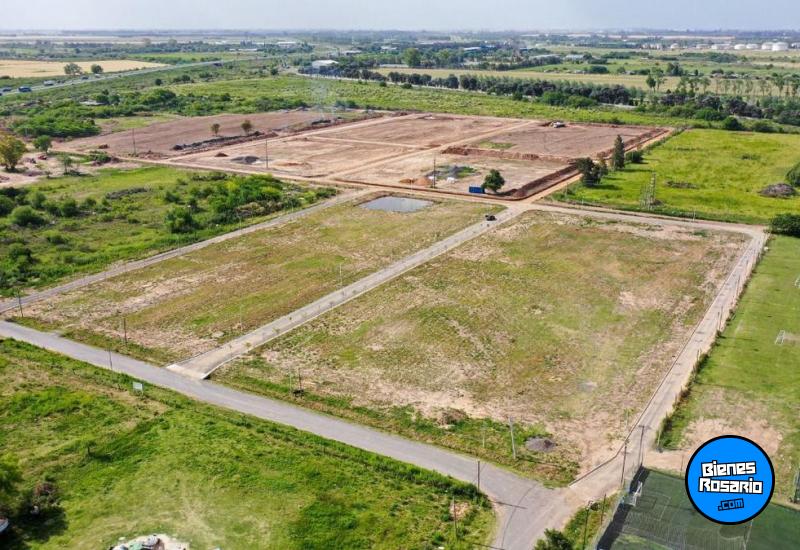 Terrenos - San Lorenzo - Venta