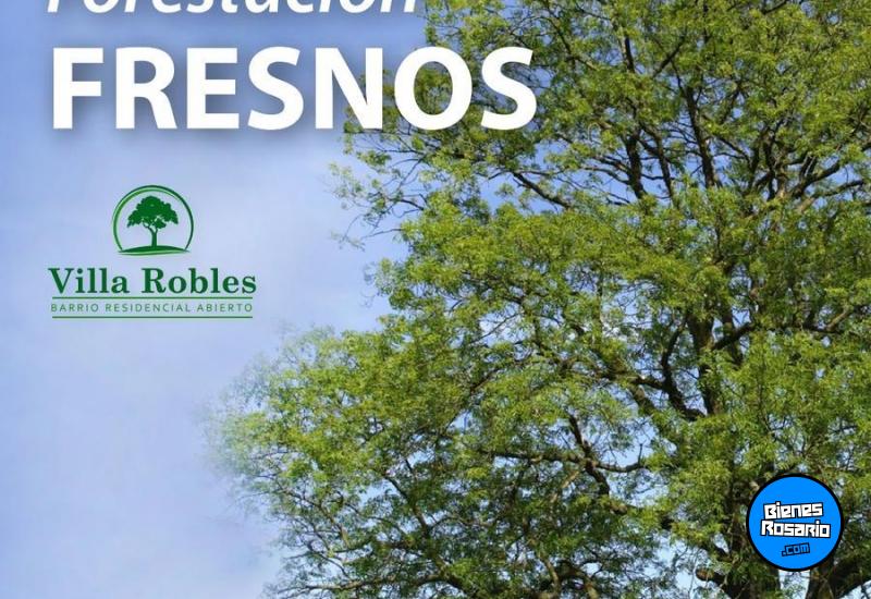 Terrenos - San Lorenzo - Venta