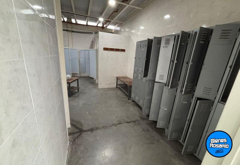 Galpones / Depósitos - Rosario -  Alquiler