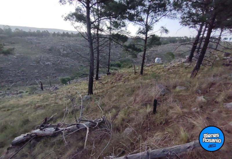 Terrenos - Yacanto De Calamuchita - Venta