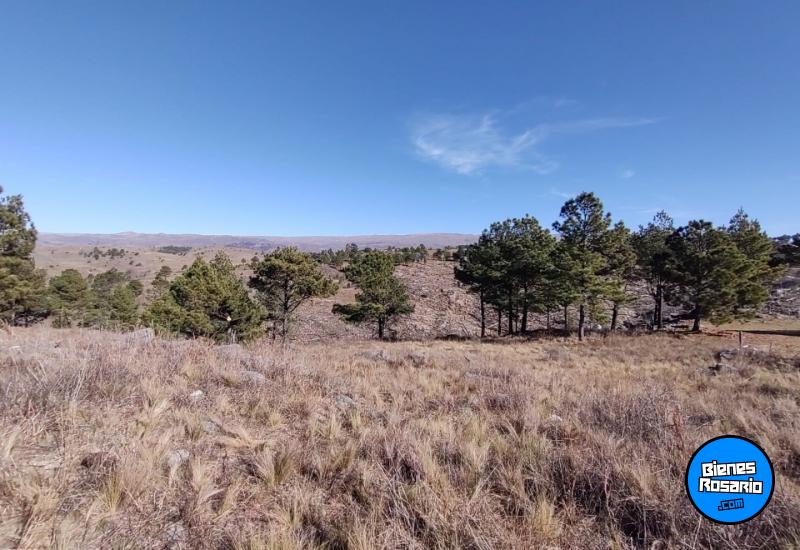 Terrenos - Yacanto De Calamuchita - Venta