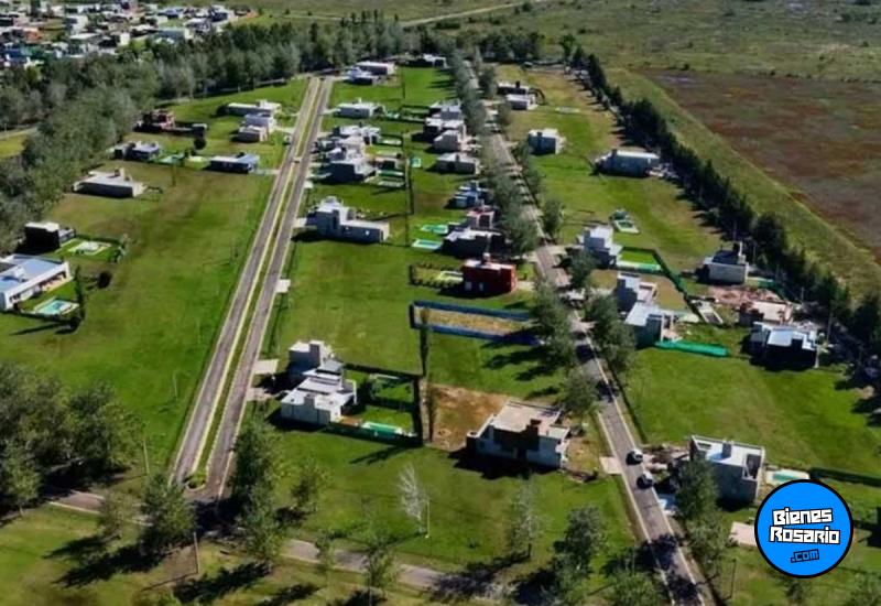 Terrenos - Piero - Venta