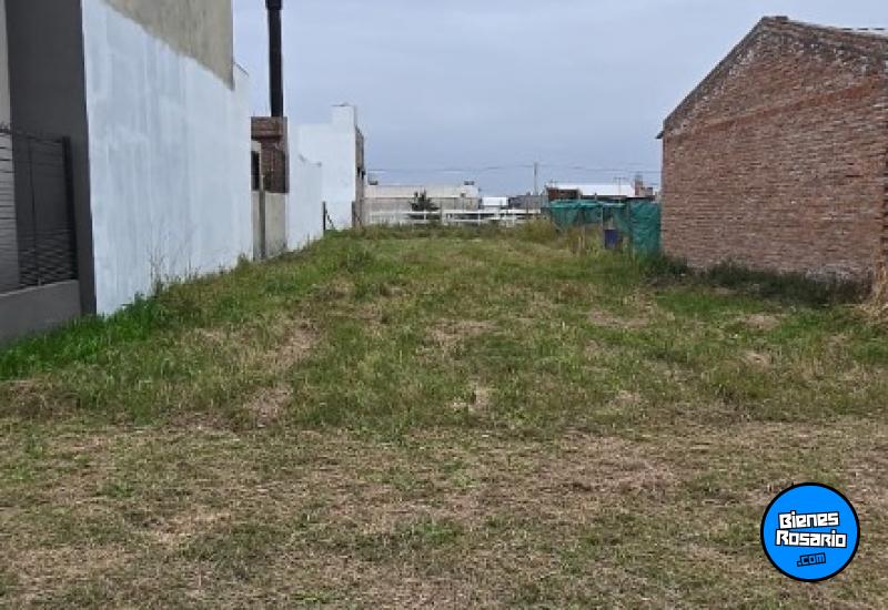 Terrenos - Alvear - Venta
