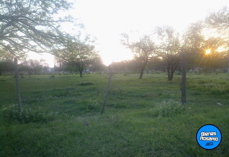 Terrenos - Puerto Gaboto - Venta
