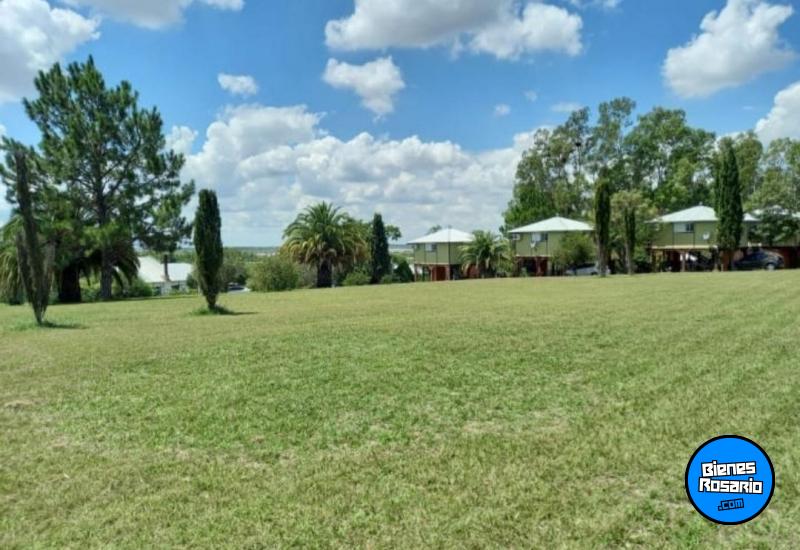 Terrenos - San Pedro - Venta