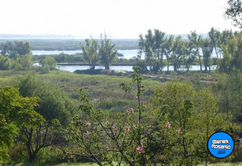 Terrenos - San Pedro - Venta