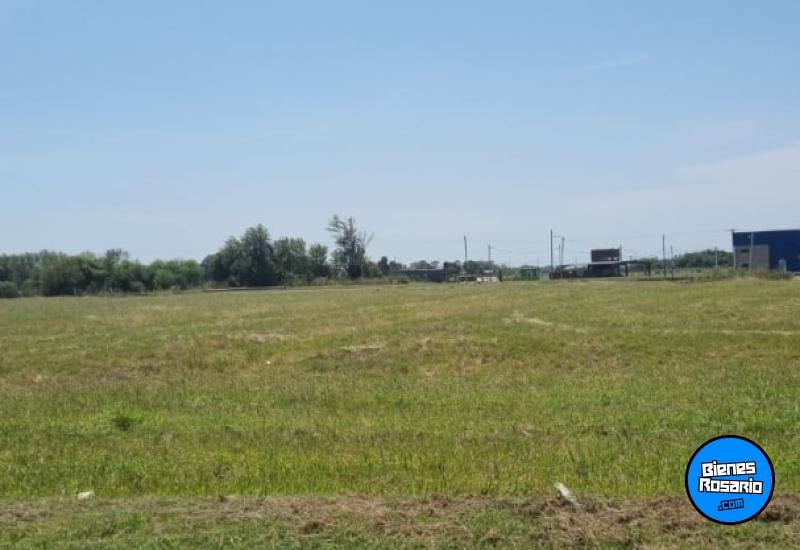 Terrenos - Alvear - Venta
