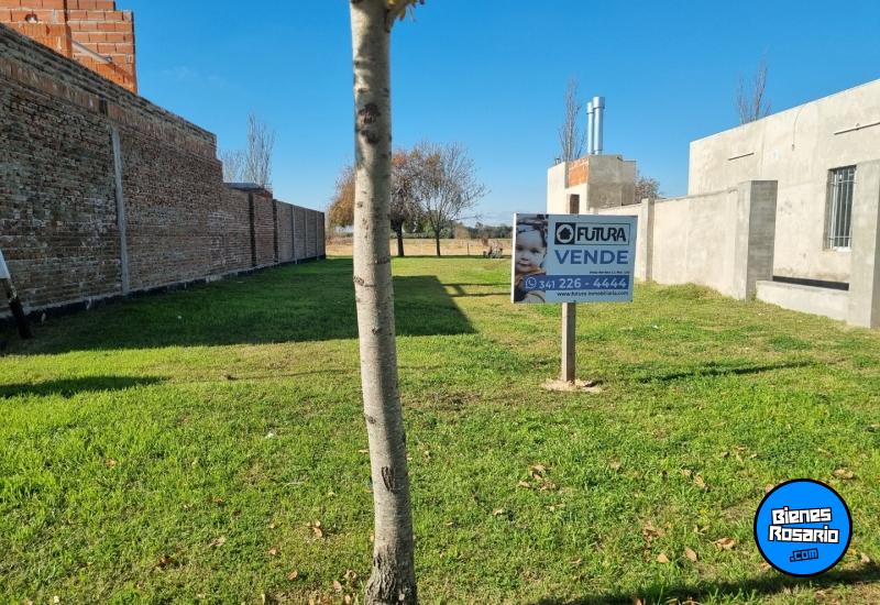 Terrenos - Soldini - Venta
