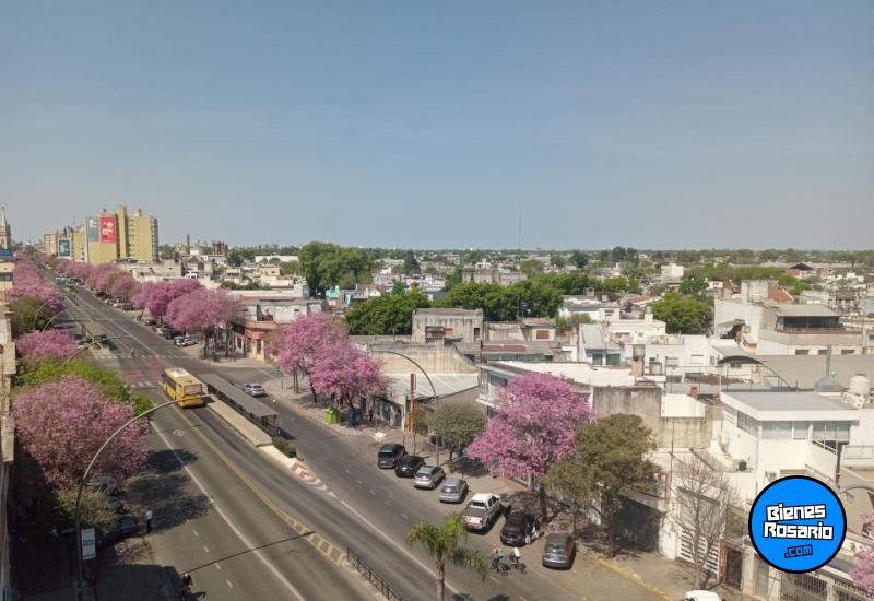 Oficinas - Rosario -  Alquiler