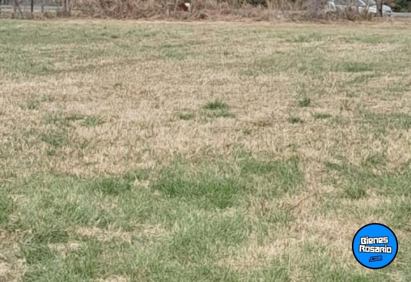 Terrenos - Rosario - Venta