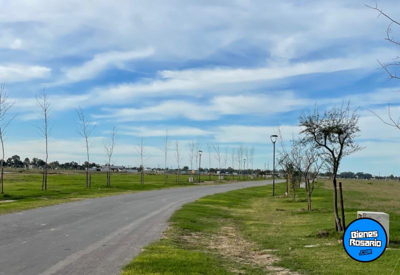 Terrenos - Funes - Venta
